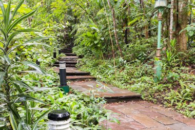 Phuping Palace on Augus 3 , 2016 Chiang Mai, Tayland