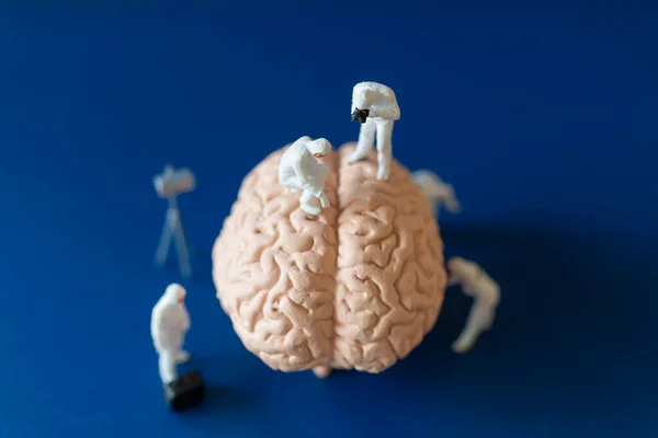 Personnes Miniatures Scientifique Observant Discutant Cerveau Humain Des Soins Santé — Photo