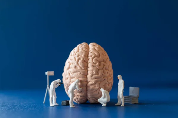 Personnes Miniatures Scientifique Observant Discutant Cerveau Humain Des Soins Santé — Photo