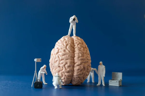 Pessoas Miniatura Cientista Observando Discutindo Sobre Cérebro Humano Cuidados Médicos — Fotografia de Stock