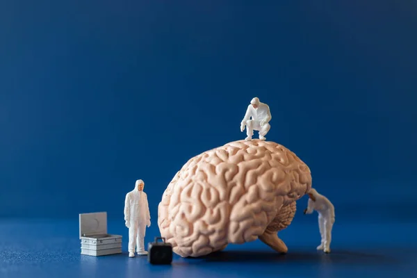 Pessoas Miniatura Cientista Observando Discutindo Sobre Cérebro Humano Cuidados Médicos — Fotografia de Stock