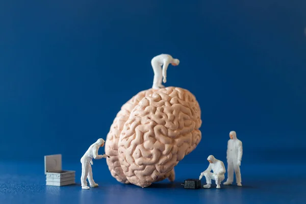 Personnes Miniatures Scientifique Observant Discutant Cerveau Humain Des Soins Santé — Photo