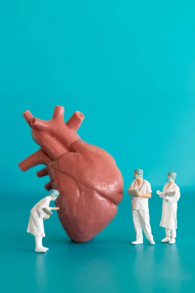 Personas Miniatura Médico Enfermera Observando Discutiendo Sobre Corazón Humano Ciencia — Foto de Stock