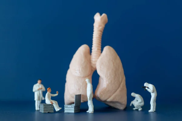 Persone Miniatura Scienziato Osservando Discutendo Polmoni Umani Concetto Assistenza Sanitaria — Foto Stock