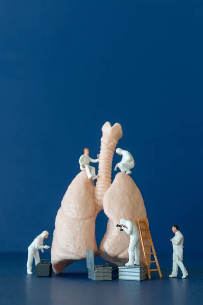 Miniature People Scientist Observing Discussing Human Lungs Medical Health Care — Stock Photo, Image