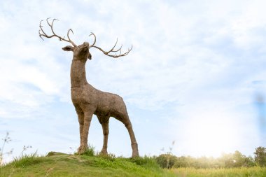 Harika Rahatlatıcı Yer, Huay Tung Tao Reservoir, Mae Rim Bölgesi Don Kaeo alt bölgesinde yer almaktadır. Chiang Mai, Tayland