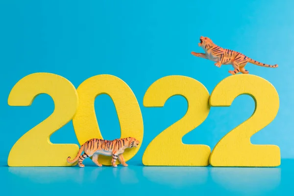 Miniature tiger and number 2022 , The year of tiger Chinese new year concept