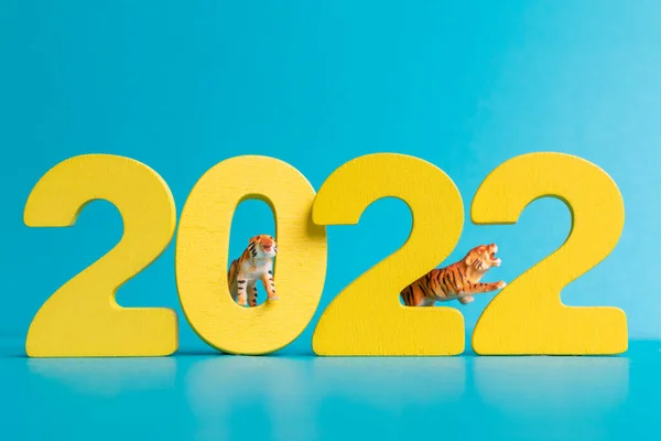 Tigre Miniatura Número 2022 Año Del Tigre Concepto Año Nuevo — Foto de Stock