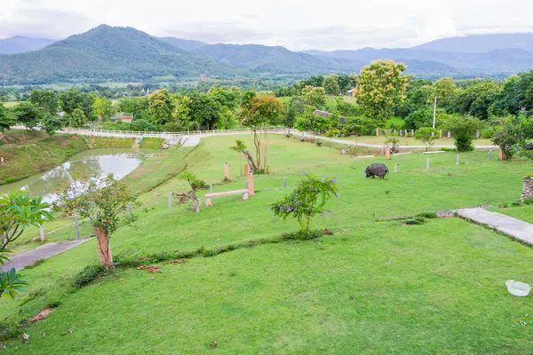 Двор и гора к северу от Таиланда — стоковое фото