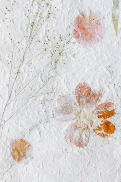 Papel de morera con fondo de textura de flor seca —  Fotos de Stock