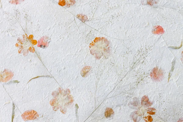 Papel de morera con fondo de textura de flor seca — Foto de Stock