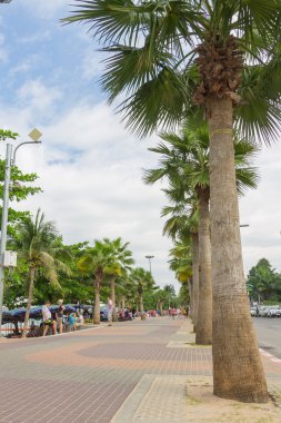 Pattaya, Tayland - 17 Aralık 2014 Pattaya geliştirilen bir p