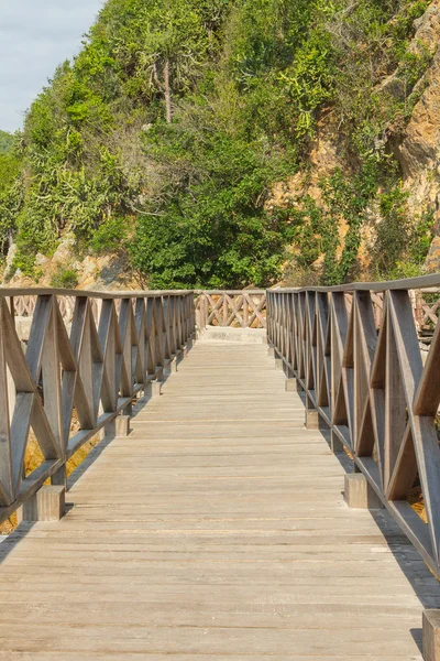 ラーン島、パタヤ、タイ周辺の木造の橋 — ストック写真