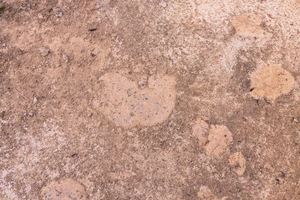 Closeup βρώμικο τοίχο υφή Σκυρόδεμα τσιμέντου — Φωτογραφία Αρχείου