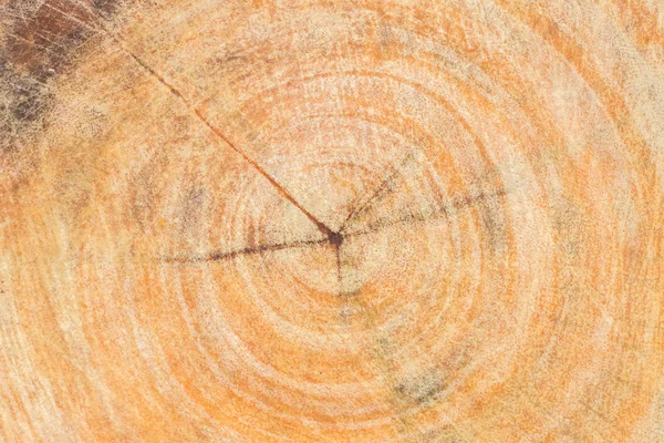 Holz Textur mit Kratzer Hintergrund — Stockfoto