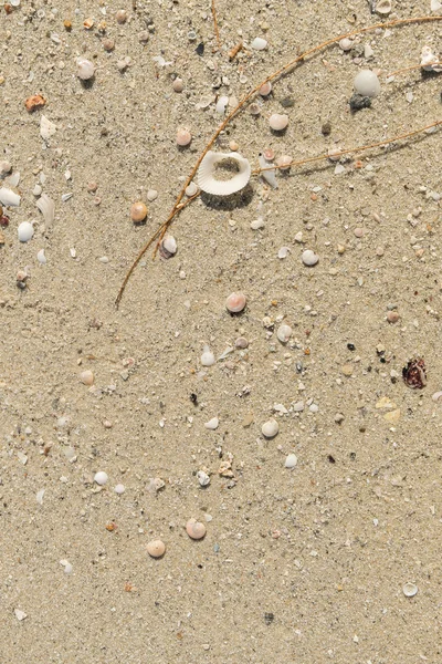 Patrón de arena de una playa — Foto de Stock