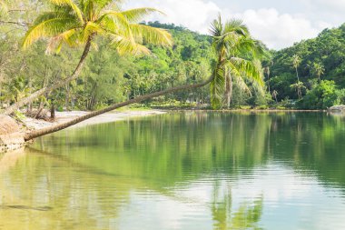 Klong Jão beach Koh Kood(kood island), Trat Tayland