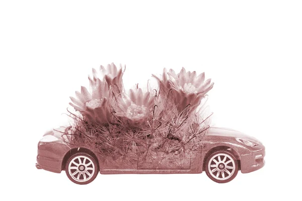 Διπλό-έκθεσης, εκτός από την έννοια των κόσμο των αυτοκινήτων και των φυτών — Φωτογραφία Αρχείου