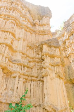 Mae Wang Milli Parkı, Chiang Mai, Tayland