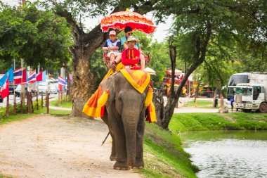 Ayutthaya Tayland - turist bir fil binmek tur bir
