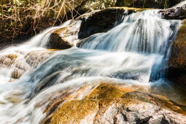 Huay Kaew şelale, Chiang mai Province, Tayland.