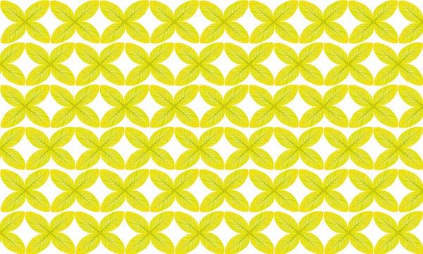 Gele bladeren patroon geïsoleerd op witte achtergrond — Stockfoto