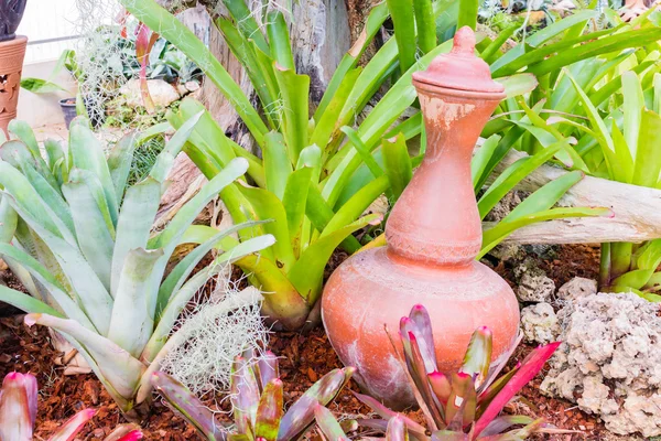 庭の古い陶器 — ストック写真