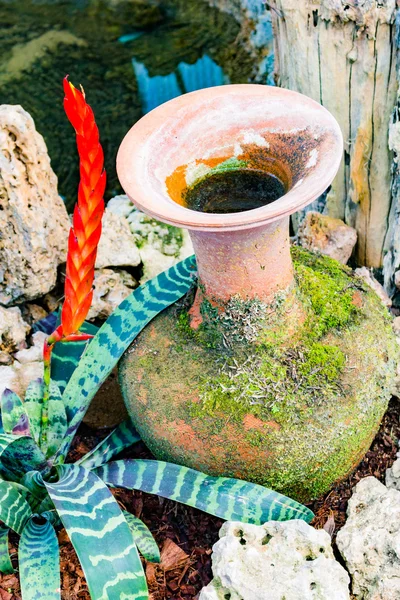 Bahçedeki eski çanak çömlek — Stok fotoğraf