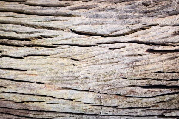 Texture en bois fond — Photo