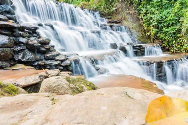 Cascata nella foresta — Foto Stock