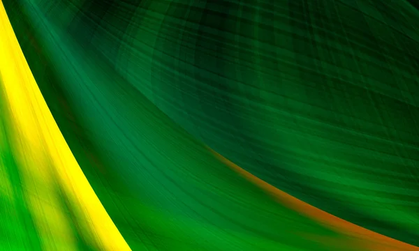 Абстрактний фон, красивий зелений фон візерунка — стокове фото