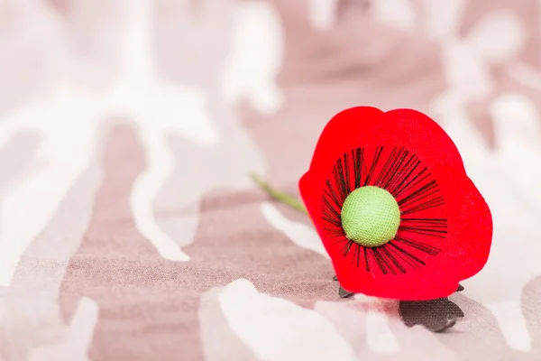 Le coquelicot rouge est un symbole de la Journée des vétérans de Thaïlande — Photo