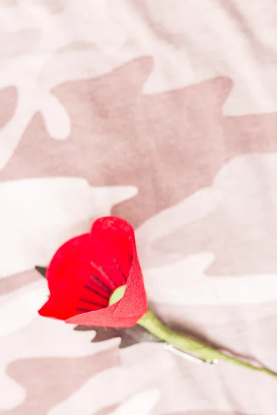 Den röda vallmon är en symbol för Thailand Veterans Day — Stockfoto