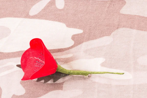 La amapola roja es un símbolo del Día de los Veteranos de Tailandia — Foto de Stock