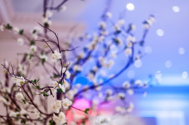 düğün dekorasyon u kadar