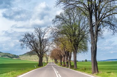 dağlarda boş asfalt yol