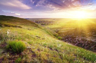 Güneş ve çiçeklerle manzara güzel bahar