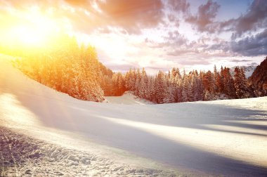 Kayak merkezinin panoramik manzarası. Bansko, Bulgaristan 