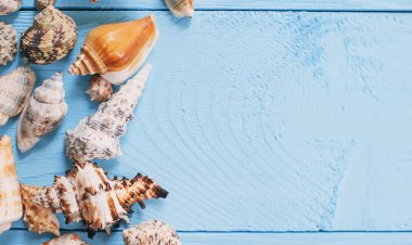 Yaz arka plan. deniz mavi ahşap zemin üzerine.