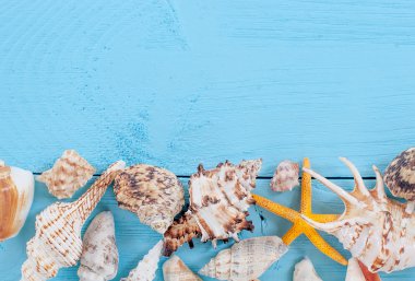Yaz arka plan. seashellson mavi ahşap arka plan.