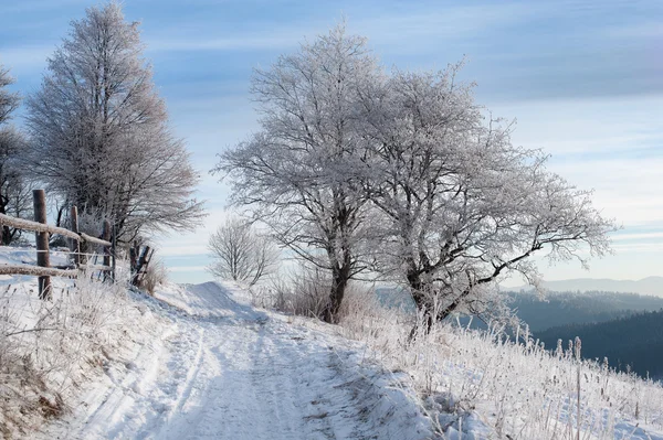 Venkovská Zimní Silnice Stromy Pokryté Mrazem Přirozený Zimní Bac — Stock fotografie