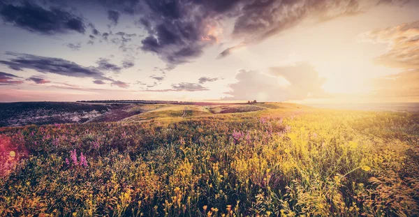 Schöner Frühling Oder Sommer Mit Blumen Sonnenuntergang Natürlicher Hintergrund — Stockfoto