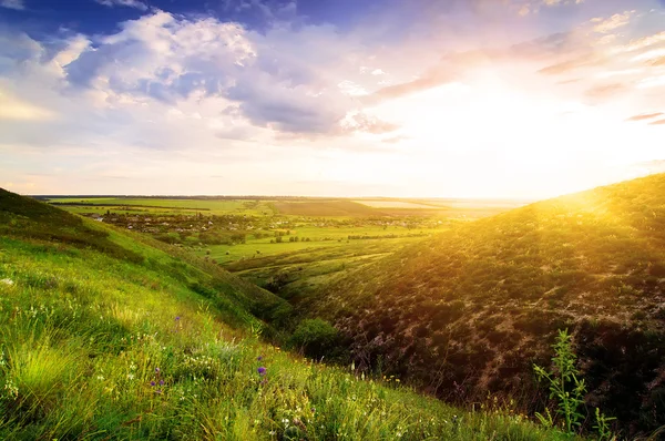 Beautiful Spring Landscape Sun Flowers — Stock Photo, Image