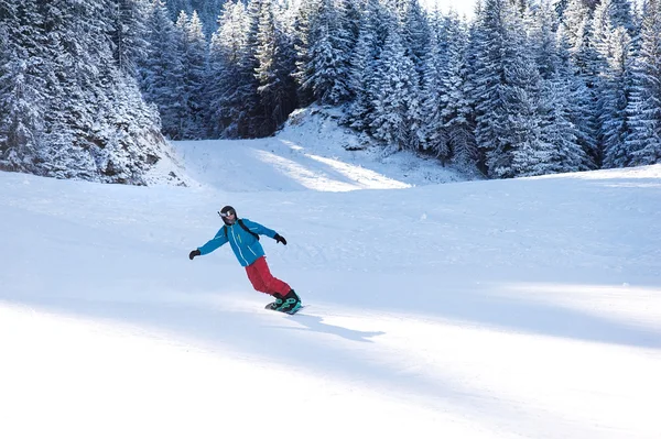 Bansko Bulgria Stycznia 2016 Snowboardzista Narciarstwo Nartach — Zdjęcie stockowe