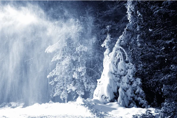 Schneefall Wald Natürlicher Winterhintergrund Gedämpftes Bild — Stockfoto