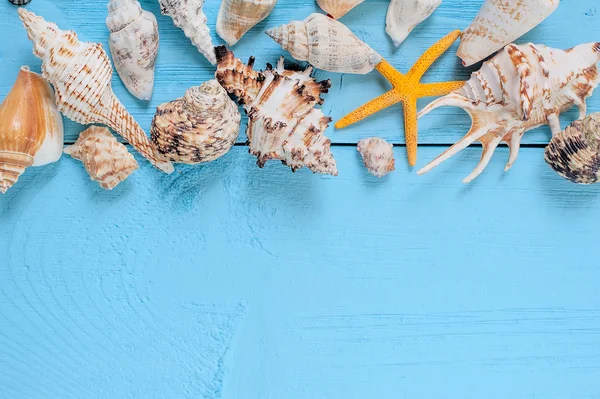 Summer background. seashellson blue wooden background. — Stock Photo, Image