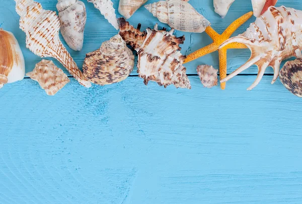 夏天的背景。seashellson 蓝色木背景. — 图库照片
