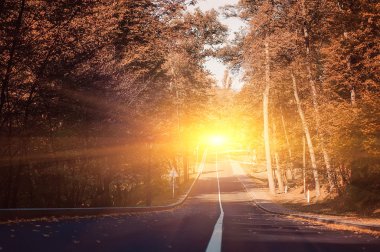 Boş yol ve sarı, yeşil ve kırmızı renkli ağaçlar sonbahar Park