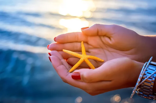 Young woman hands holding seastar on the beach. natural summer background — Stock Photo, Image