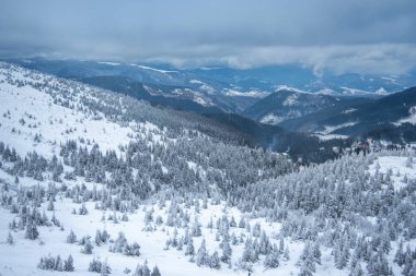 Karla kaplı köknar ağaçları ve dağlar. Güzel kış manzarası